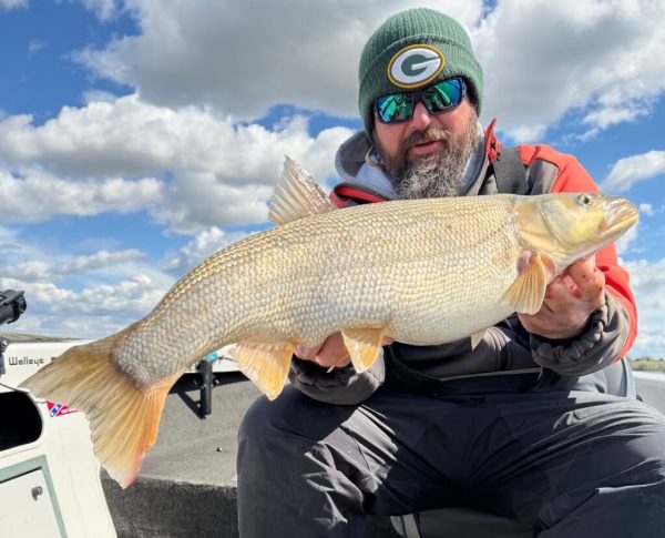 Angler holding a Northern Pikeminnow at a State record weight of 8.6 pounds